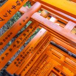 Japan – een bijzondere kennismaking